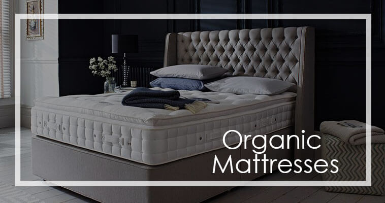 Are Organic Mattresses Necessary or Just Hype?